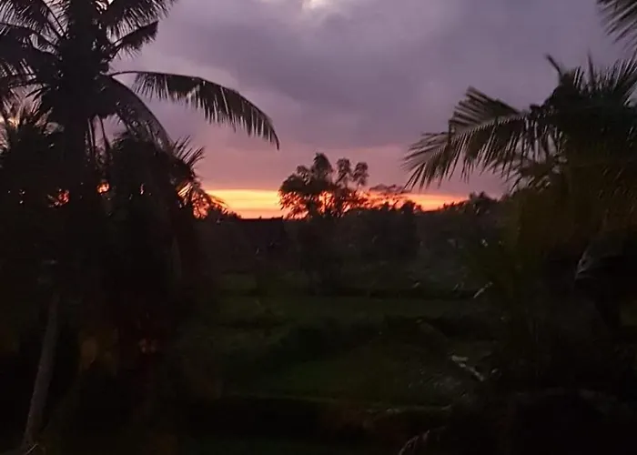 Aroem Frühstückspension Ubud