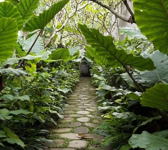 Aroem Ubud